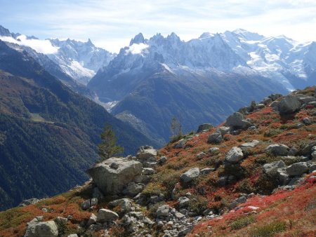 Couleurs d’automne face au Mont Blanc.