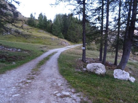 La piste qui mène au col de Rabou