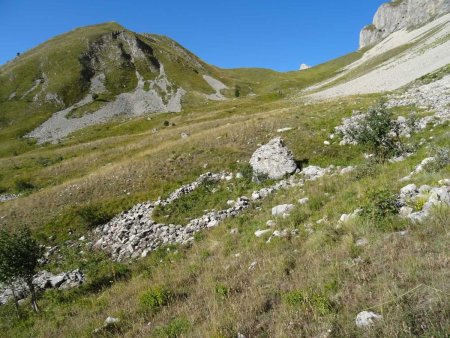 Le premier de ceux que je suppose être des anciens abris pour les bêtes en pâturage ici