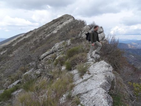 Ca s’embroussaille petit à petit