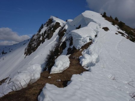 Les corniches de la partie supérieure.