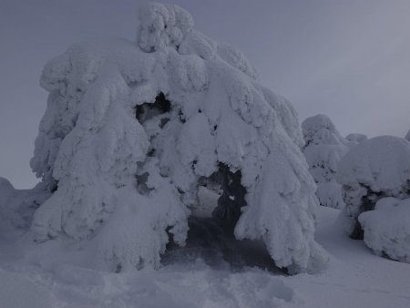 Une hutte climatisée tout confort.