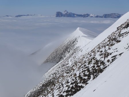 Au loin, la barrière du Vercors émerge.