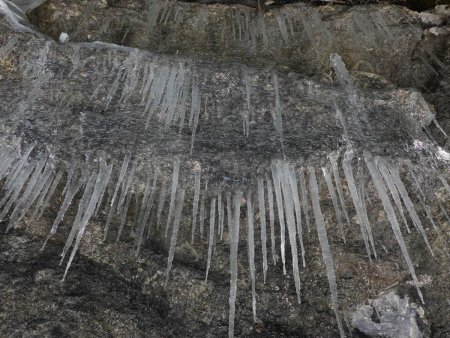 Quelques concrétions hivernales résistent encore à la douceur.