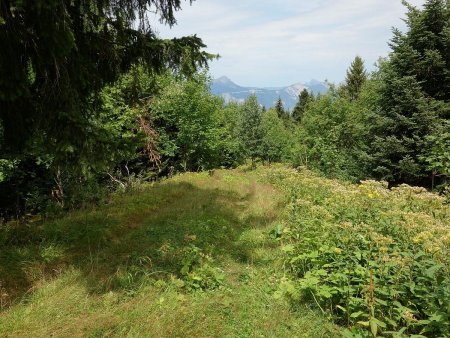 Sur la crête des Ramettes