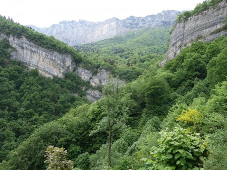 Regard sur le vallon où coule le torrent.