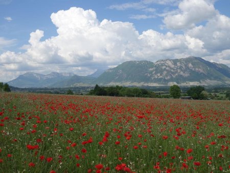 Sur la route, le décor de la saison...