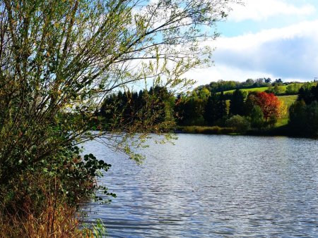 Yzeron : le lac du Ronzey.