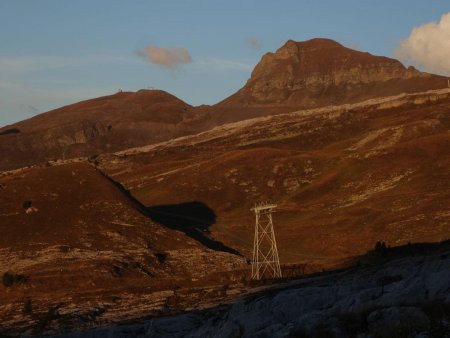 Tête Pelouse aux couleurs du crépuscule...