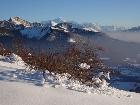 La vue s’ouvre...