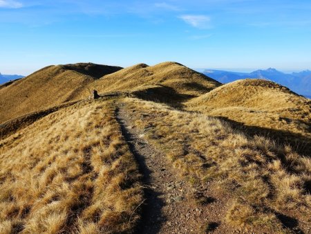 Sur la crête des Plagnes.