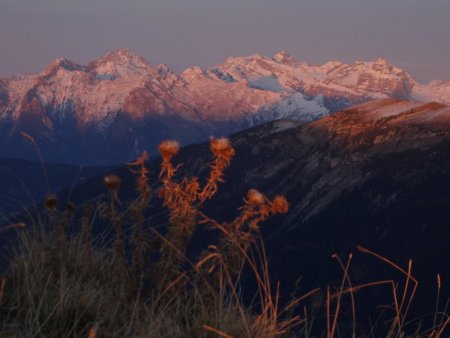 Au loin, le Haut-Giffre n’y échappe pas...