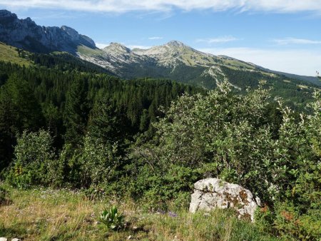 Vue sur la Grande Moucherolle depuis le Mont Chillon