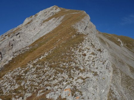 Montée de la crête sud-ouest...