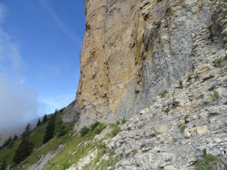 Sous le Pas des Terreaux, dans les prairies suspendues.