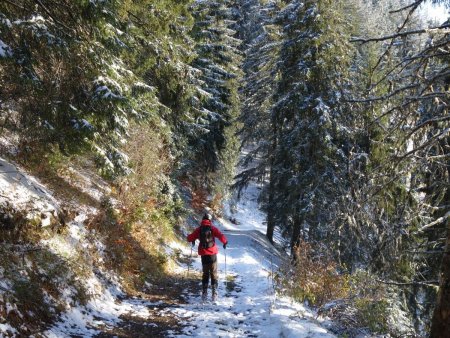 C’est peut être un peu tôt pour le ski...