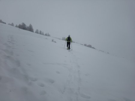 On s’éleve tout droit dans la pente