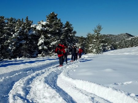 Montée douce et tranquille dans la poudre