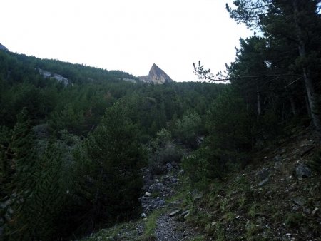 Une belle pointe entre les Vallons d’Aval et de Chauvet