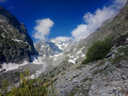 Vers le Glacier Noir et le Pic Coolidge (3775m)