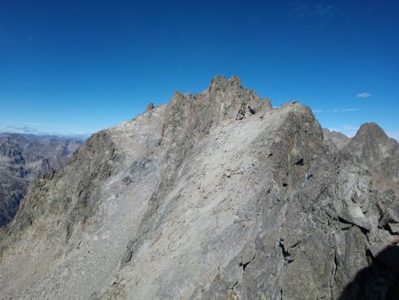 Brocan dans le rétro