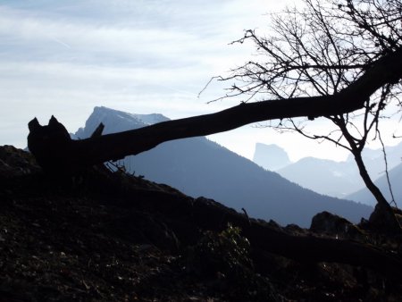 Mont-Aiguille dans la brume