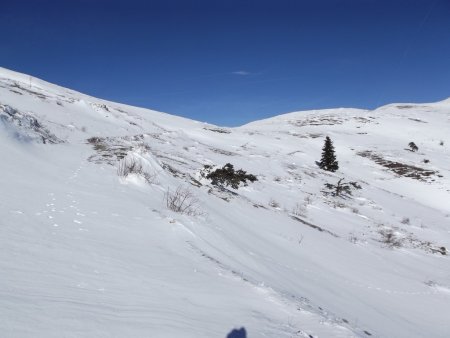 Montée au col du Senépy