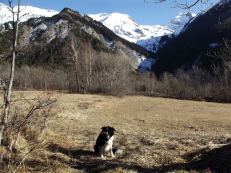 Prairie avant la route