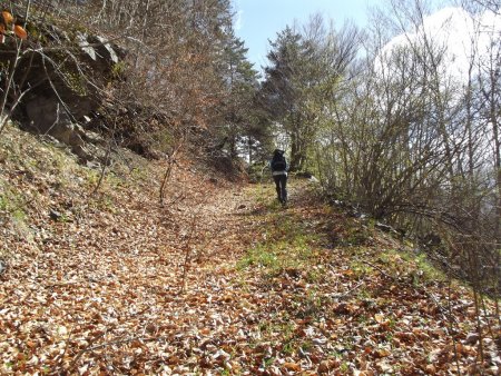 Sente à remonter à droite du ruisseau