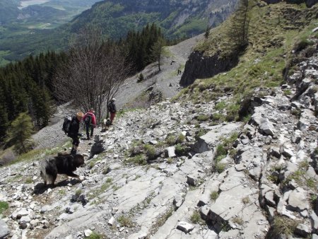 Descente en versant Est