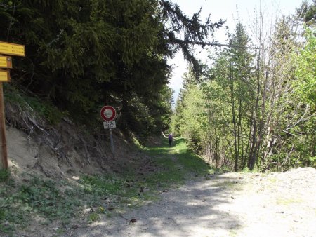 Début du chemin du facteur