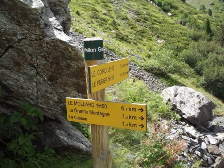 Sentier de retour tout de suite à droite