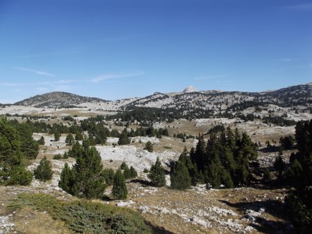 Hauts Plateaux et Grand Veymont au fond