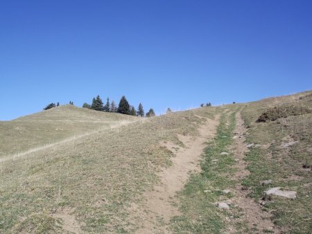 Montée vers l’alpage