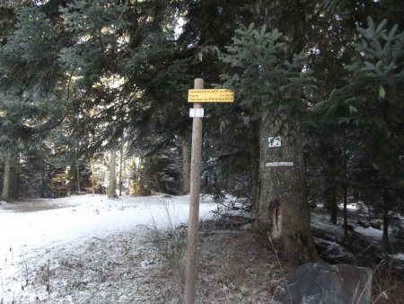 On débouche sur une piste transversale