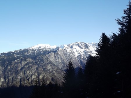 Zoom sur la Croix de Chamrousse