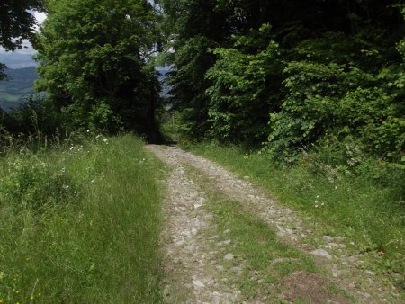 Descente sur Montchaffrey