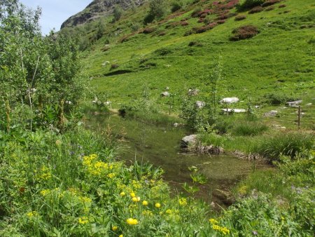 Réserve d’eau vers la cabane