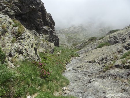 Le bas du couloir 