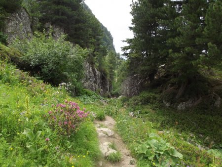 Petit passage câblé vers le rocher