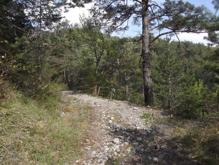 Sentier au départ