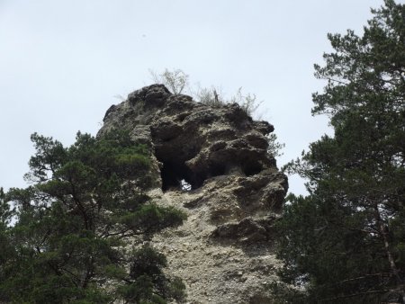 Cheminée en formation