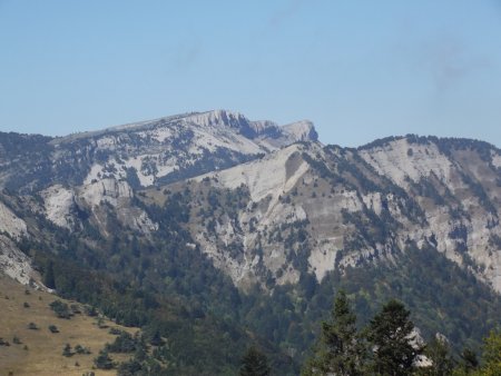 Zoom sur la Montagnette