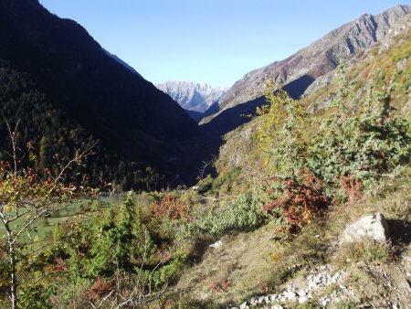 En montant, au fond la Montagne de Faraut