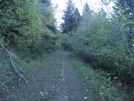 Sentier après le Gros Bois