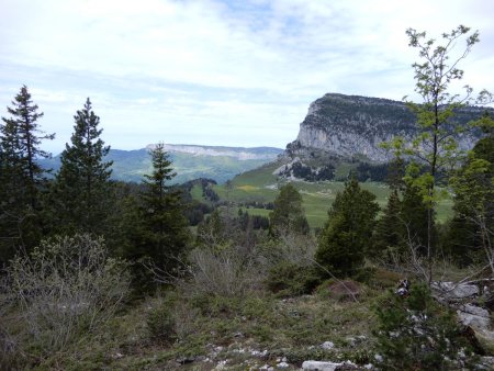 La vue au sommet