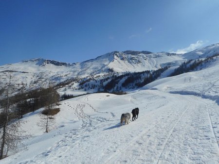 Se rapprocher de la Montagne de l’Alpe vers le nord-est.