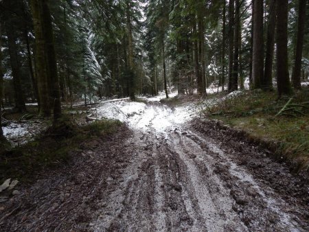 La piste du retour