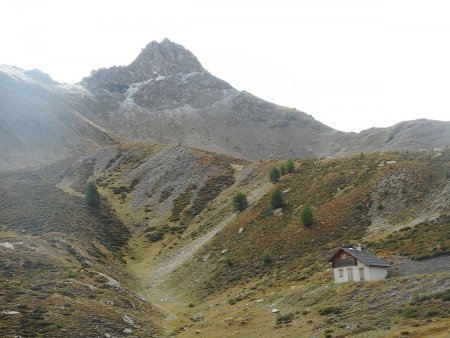 Cabane de berger (prendre à gauche en aval) et Tête de la Cochonne