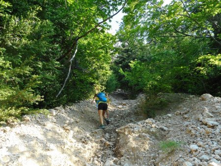 Remontée de la ravine en direction de la voie.